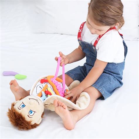 Human Body Model Anatomy Soft Doll Toy Anatomical Medical Internal