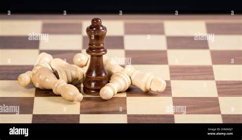 Fallen Chess Pieces Lying Around A Queen Piece Stock Photo Alamy