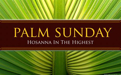Free Palm Sunday Pictures Free Palm Sunday Computer Desktop
