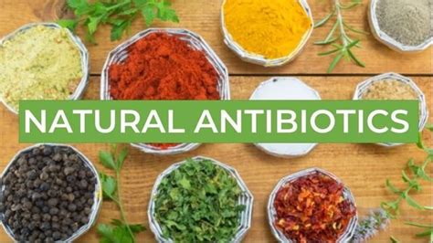 Natures 11 Most Powerful Antibiotics Food Natural Antibiotics