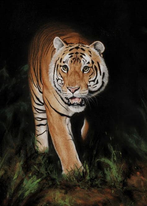 Learn To Draw This Prowling Tiger In Pastel Pencils On Our Website