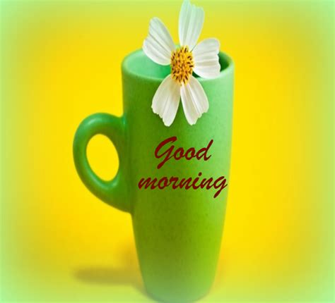 For A Fresh And Healthy Morning Free Good Morning Ecards 123 Greetings