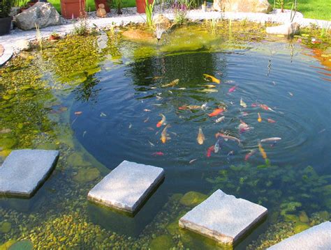 Damit du vom ersten tag an freude an deinem gartenteich hast, verraten wir dir hier alles über das anlegen des gartenteichs und die richtige pflege. Teiche-Biotope-Gartenanlage - Gartengestaltung-Gartenbau ...