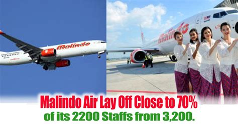 Aliexpress is providing upto 50% discount on outdoor essentials. Malindo Air Lay Off Close to 70% of its 2200 Staffs ...