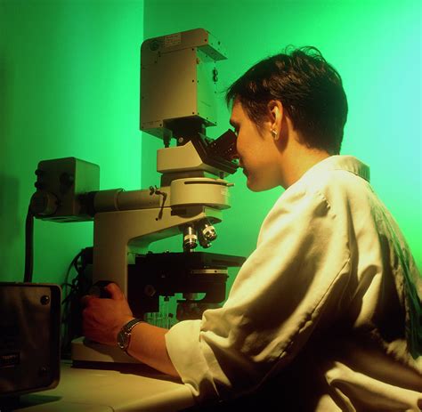 Female Technician Using A Fluorescence Microscope Photograph By Cc
