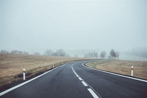 Free Images Tree Forest Light Fog Mist Street Sunlight Morning