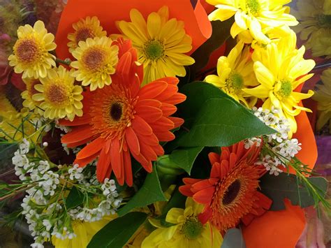 We did not find results for: Orange and Yellow Flowers Bouquet Close Up Picture | Free ...