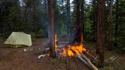 Man Finds Campfire That Spread To Trees And Were All Lucky It Didnt