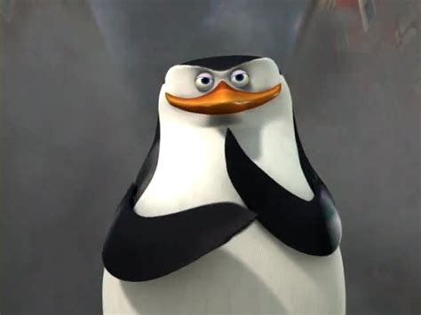 Some Pictures Of Skipper Skipper The Penguins Of Madagascar Photo