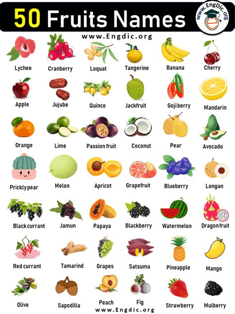 50 Fruit Names List Engdic
