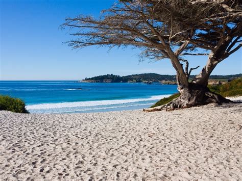 9 Prettiest White Sand Beaches In The United States With Photos Trips To Discover