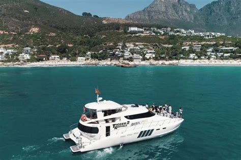 The Best Boat Trips In Cape Town The Inside Guide