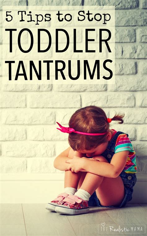 Stop Toddler Tantrums 5 Ideas That Really Work The Realistic Mama