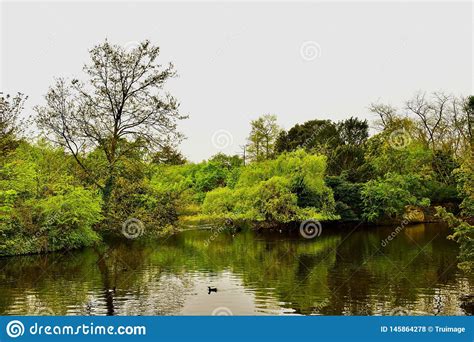 Landscape View In Early Spring Stock Photo Image Of Bright Early