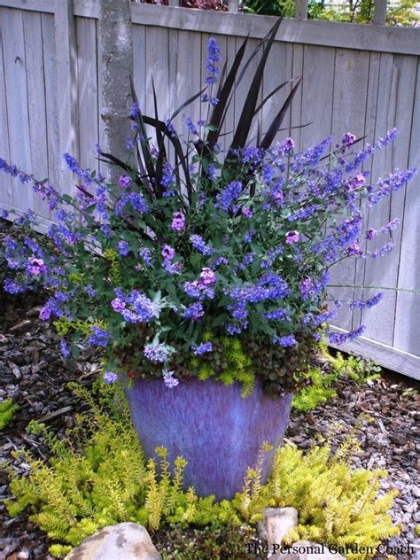 Blue Planter Container Garden Design Container Flowers Container