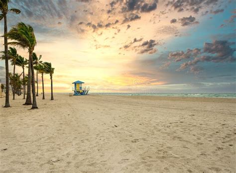Dramatic Sunrise On The Beach With Palm Trees And Lifeguard Tower Stock