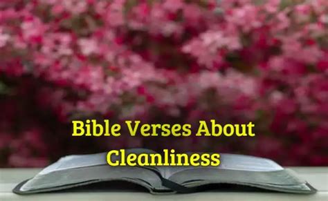 Best 63bible Verses About Cleanliness Kjv Scripture