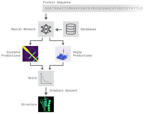 AlphaFold, AI for protein structures prediction - THE 21st CENTURY - Medium