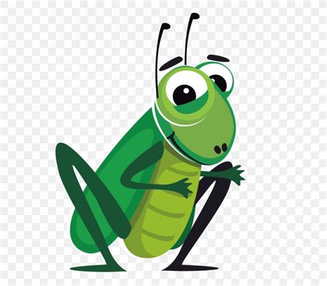 Cartoon Cricket Clip Art Png 842x738px Beetle Amphibian Animation