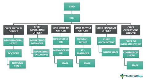 Organizational Structure Definition Types Examples What Is It