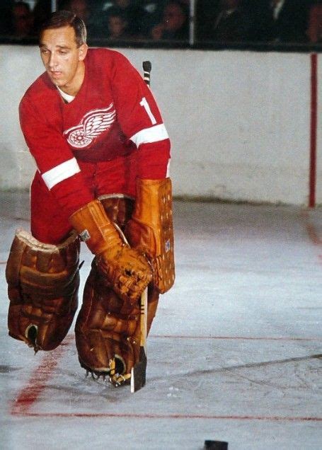 Roger Crozier Hockey Goalie Detroit Red Wings Hockey Red Wings Hockey
