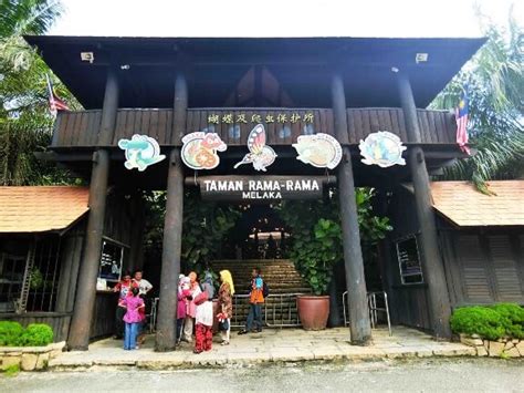Taman Rama Rama And Reptilia Di Melaka Wah Bestnya Rugi Tak Pergi