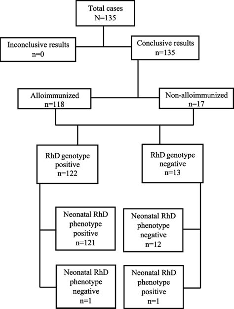 Figure Summary Of The Results Of Non Invasive Foetal Rhd Genotyping In Download Scientific