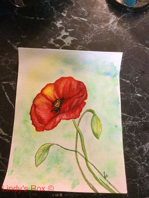 Poppy In Watercolour Just Trying Out Different Mediums Growing