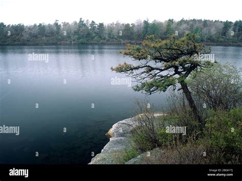 Lake Awosting Minnewaska State Park New York Stock Photo Alamy