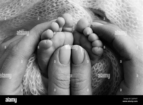 The Palms Of The Father The Mother Are Holding The Foot Of The Newborn
