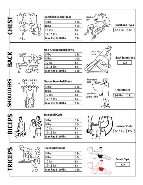 Upper Body Weight Routine Upper Body Workout Routine Weight Routine Workout Plan For Men