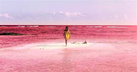 Pink Lagoon In Mexico Worth To Explore