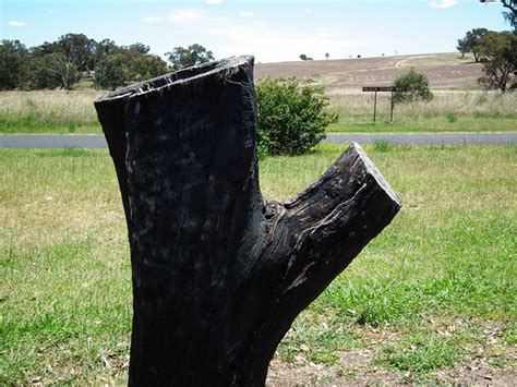 Drive To A Railway Town With Cinematic History Binnaway Coolah Nsw