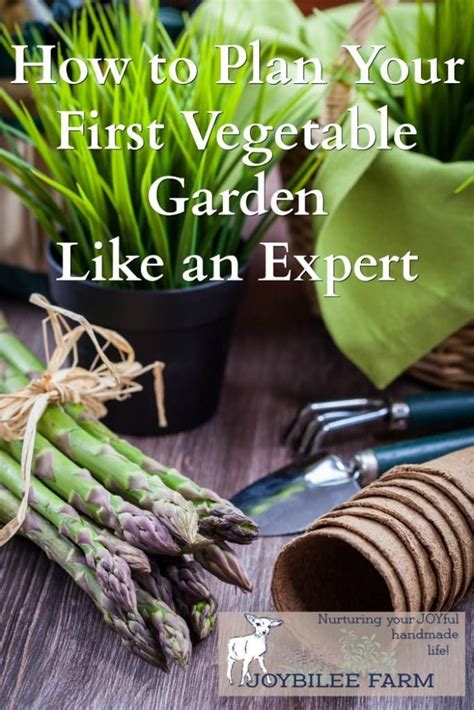 Asparagus And Gardening Tools With Text Overlay How To Plan Your First