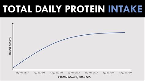 Total Daily Protein Intake Nutrition For Body Composition Youtube