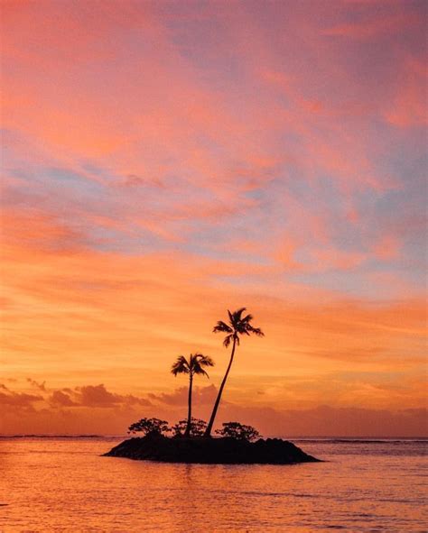 Paradise Sunset Sunrise Tropical Island Palm Trees Island Life