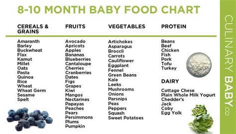 8 To 10 Month Baby Food Chart Dishes 9 Month Old Baby Food 10 Months