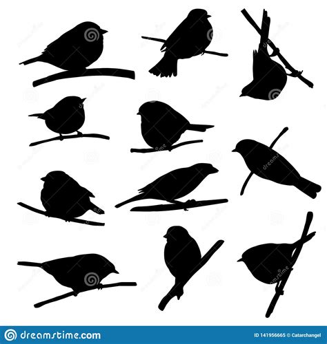 Birds At Tree Branch Stock Vector Illustration Of Drawing 141956665