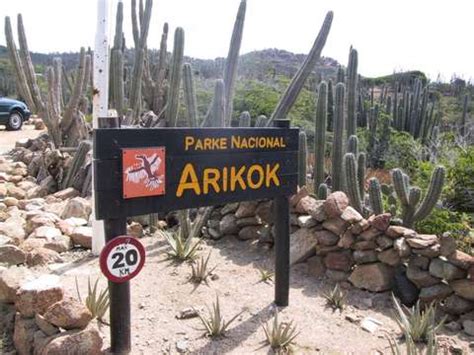 Explore Arubas Arikok National Park Stay At Palm Aruba Condos