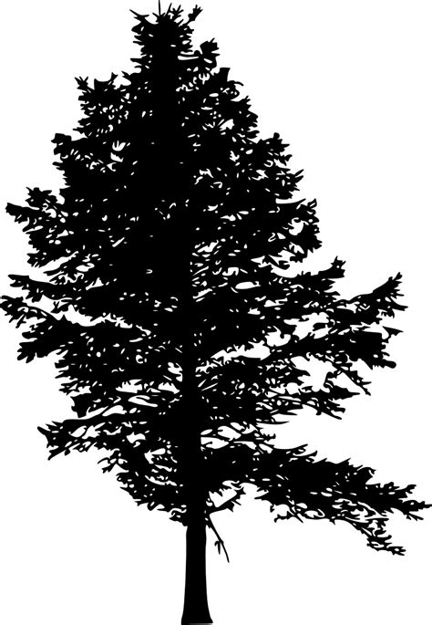 Well you're in luck, because here they come. 10 Pine Tree Silhouette (PNG Transparent) Vol. 3 | OnlyGFX.com