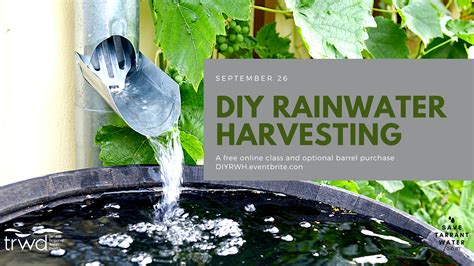 Diy Rainwater Harvesting Save Tarrant Water