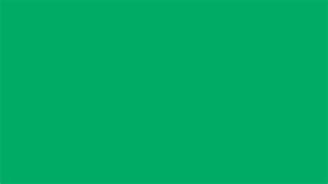 2560x1440 Go Green Solid Color Background