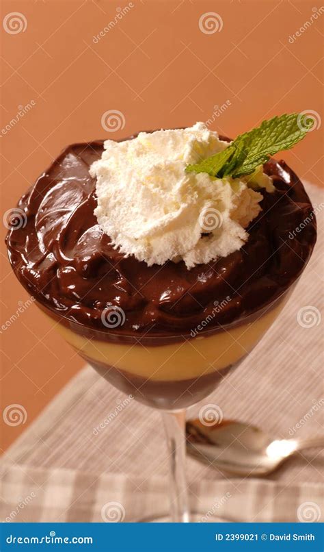 Chocolate And Vanilla Puddings Stock Image Image Of Calories Vanilla