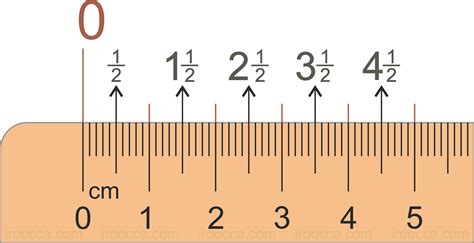 Metric Ruler Free Printable Numbers Transparent Cartoon Jingfm