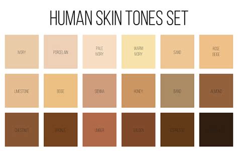 Creative Vector Illustration Of Human Skin Tone Color