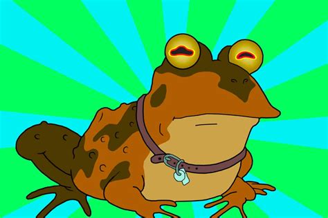 National Park Service Asks Visitors To Please Stop Licking Psychedelic Toads 🐸 Not The Bee