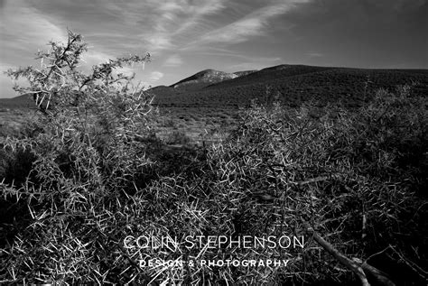 Landscape Photographer South Africa Colin Stephenson Photography