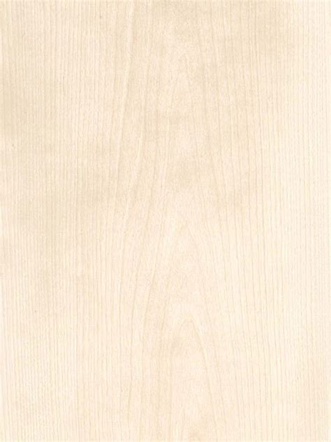 Birch White Wood Veneer Dooge Veneers
