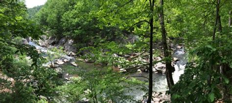 Great Falls Loop Hike Difficult Run Ridge And River Trails