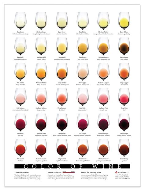 Color Del Vino Cominter Wine México
